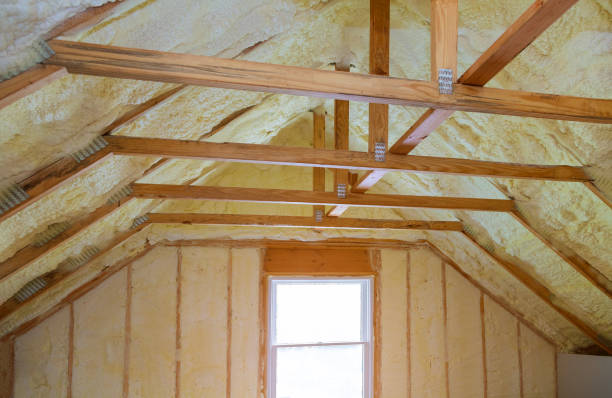 Best Wall Insulation Contractor  in Cheraw, SC