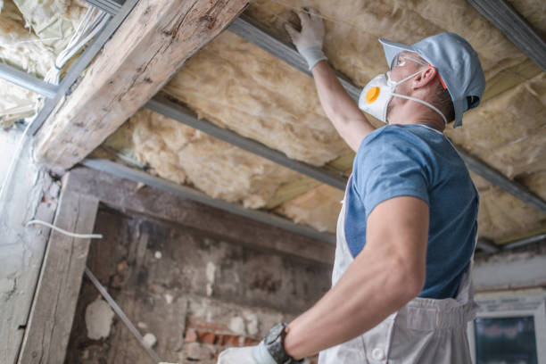 Best Insulation Contractor Near Me  in Cheraw, SC