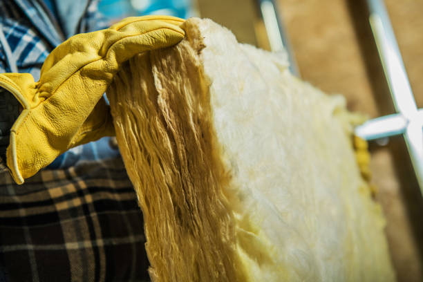 Best Wall Insulation Contractor  in Cheraw, SC