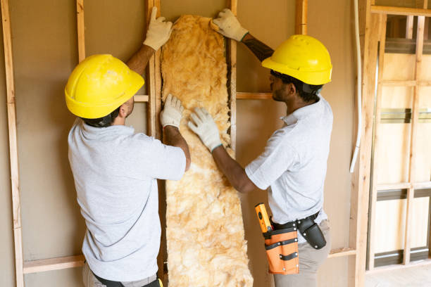 Professional Insulation Contractor in Cheraw, SC
