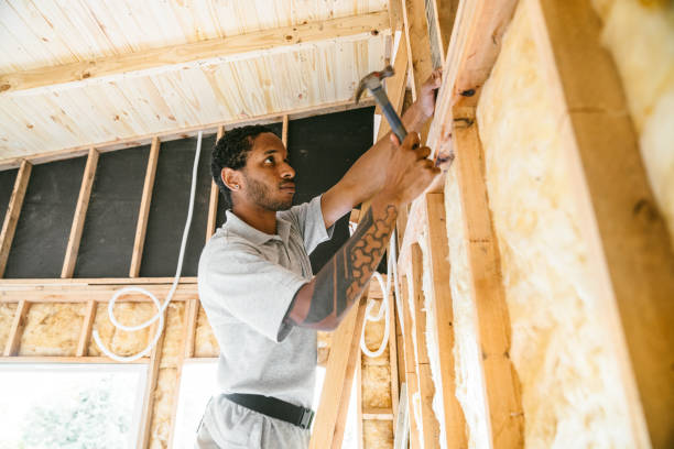 Best Insulation Repair Services  in Cheraw, SC