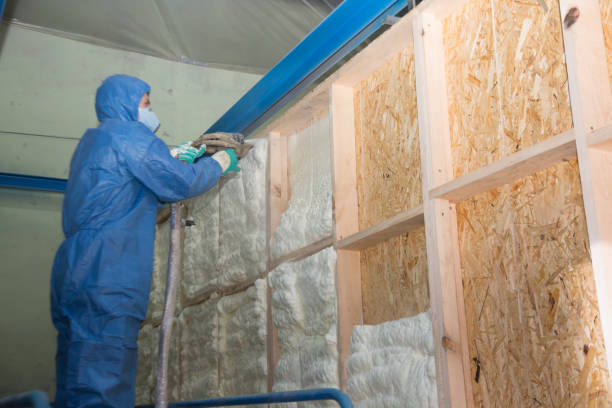 Best Professional Insulation Contractor  in Cheraw, SC