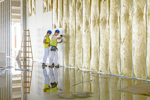 Best Local Insulation Services  in Cheraw, SC